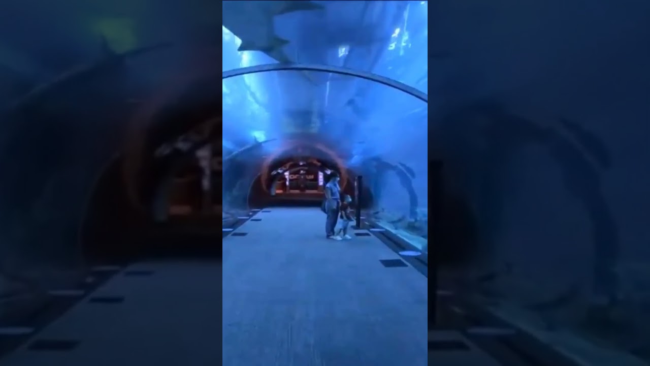 "Top 3 Popular Places to Visit in Digha: A Travel Guide"