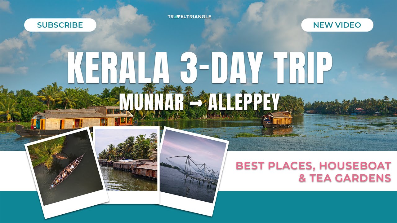 Munnar to Alleppey in 3 Days | Kerala Travel Guide & Houseboat Experience #kerala #traveltriangle