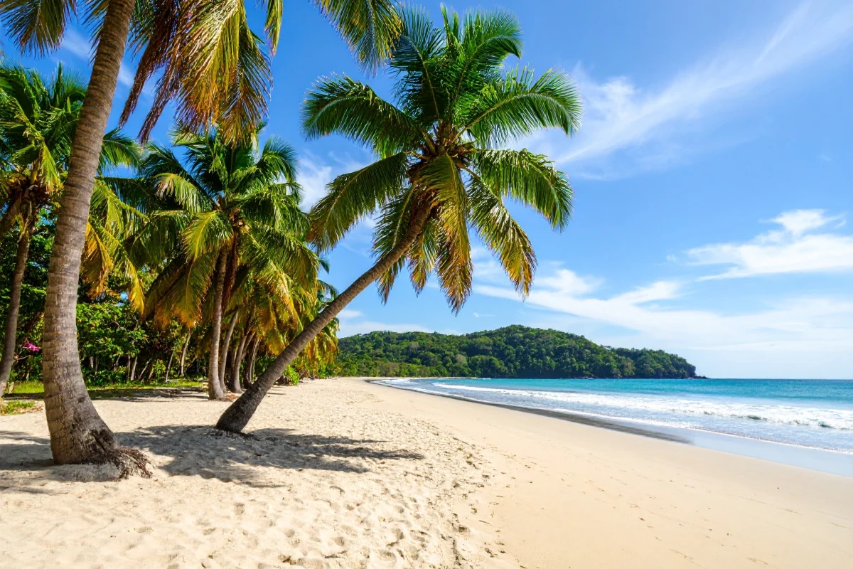 Tamarindo is a popular beach town on the Pacific coast of Costa Rica, known for its golden sand, great surfing waves, and relaxed atmosphere. Surrounded by lush nature and wildlife.